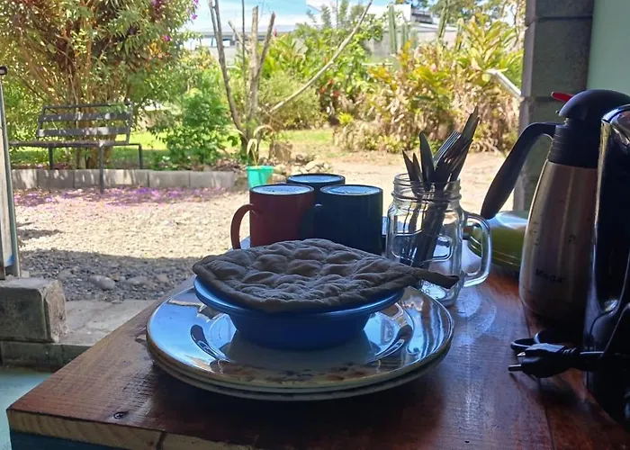 Arbol De Mayo